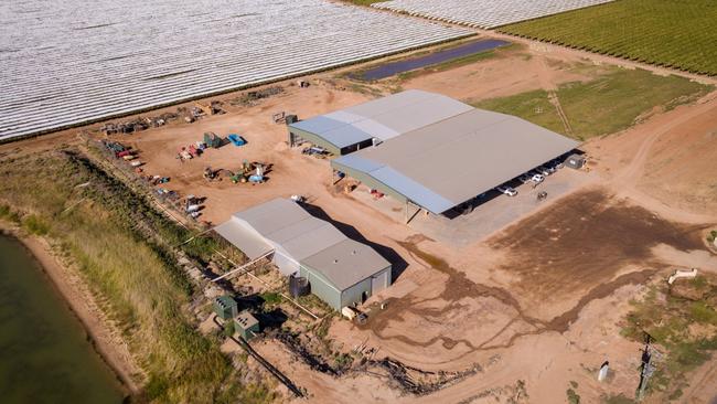 Sunraysia grape growing enterprise Fifth Street, at Merbein West, was bought in 2016 and is now up for sale as Murray River Organics liquidates assets to lower debt.