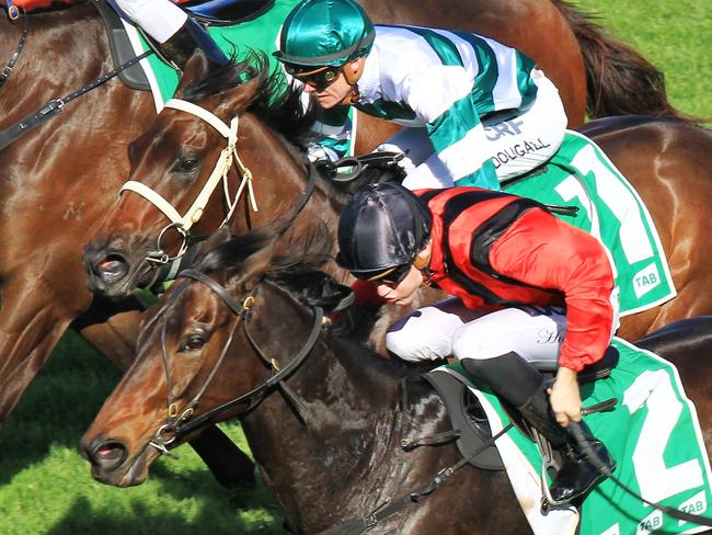 Three sheets ridden by Rory Hutchings (red and black colors) wins race 3 during Randwick races in Sydney. Pic Jenny Evans