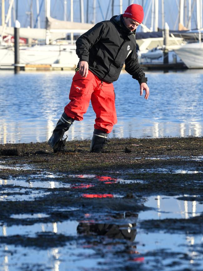 The feasibility study into the removal of the sludge is expected to take three to four months. Picture: Penny Stephens