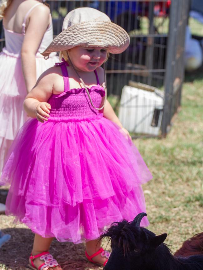 Paige Edwards inspects the petting zoo animals at the 2023 Murgon Show.