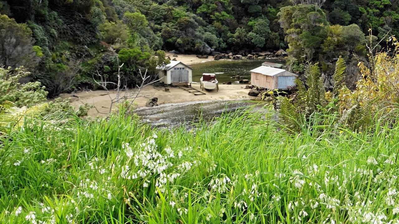 One of the many hideaway coves dotted around Stewart Island.