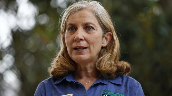 Zoos Victoria chief executive Dr Jenny Gray received an AM for her work. Picture: NCA NewsWire / Daniel Pockett