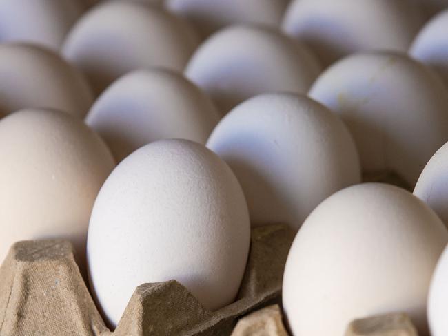 NEWS: Danyel Cucinotta egg farmerPICTURED: Generic far. Egg farm. Chicken eggs. Eggs. Stock Photo.Picture: Zoe Phillips