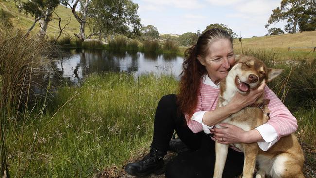 Margaret Acton was attacked and badly injured by a kangaroo while walking her dog "Jess" on the family property in the Adelaide Hills. Picture: Dean Martin