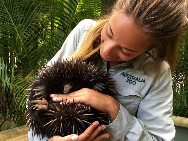 Australia Zoo bird keeper Taryn Smith wows Instagram with wildlife ...