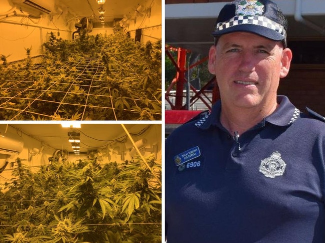 120 cannabis plants, $220,000 seized in twin property raids