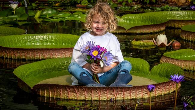 The Blue Lotus Water Garden, Yarra JunctionSet over 50,000 square metres at Yarra Junction and operating from December 26 to April 1, the Blue Lotus Water Garden is a Monet version of heaven. There is a cafe and barbecue facilities, 40 ponds and a waterfall. Set that Insta alight. Picture: Jake Nowakowski