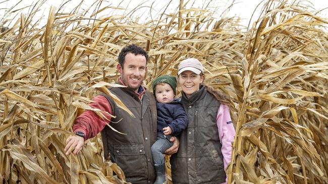 Cameron Sandral cropping farmer with 17-month-old son Harvey and partner Bridget Thomas in their Pioneer corn crop at Savernake NSW. Picture: Zoe Phillips.