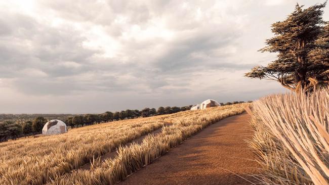 An artist impression of the glamping tents proposed for Allusion Farmstay &amp; Vineyard at Yankalilla. Picture Supplied.