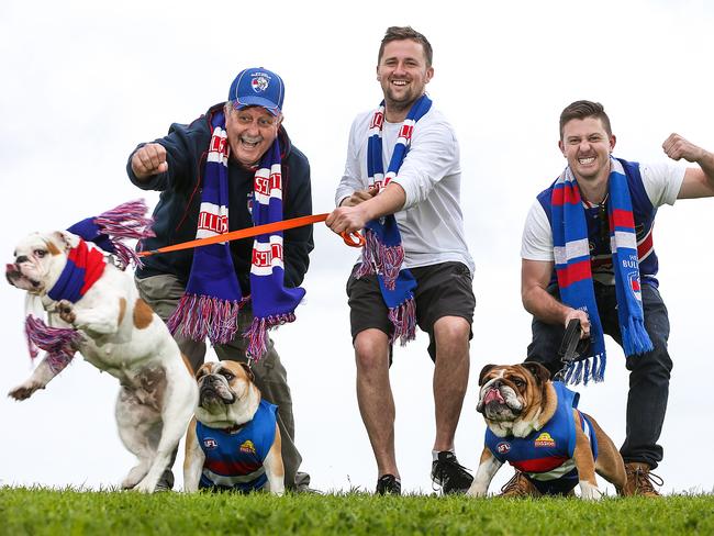 Here come the dogs. Geoff Lanyon with 'Darcy , Leigh Matthews with 'Lumpy' (in mid-air) and Michael Lanyon with 'Chopper'. Picture: Ian Currie