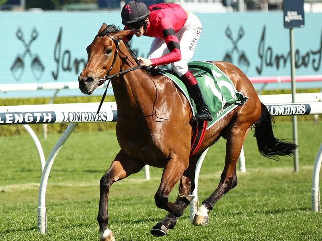 SYDNEY, AUSTRALIA - SEPTEMBER 16: Regan Bayliss riding Just Fine wins Race 5 James Squire Kingston Town Stake during "Sydney Surf To Turf Day" - Sydney Racing at Royal Randwick Racecourse on September 16, 2023 in Sydney, Australia. (Photo by Jeremy Ng/Getty Images)