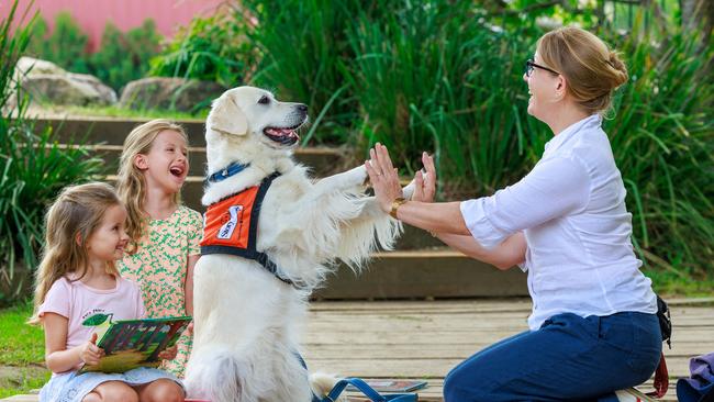 Daily Telegraph. 07, March, 2024.**Embargoed, please see Nicola Amoros DT Pic desk**Carla, 5, and Lea Schell, 5, with Nicole Rosenthal and her golden retrieverLotti, a volunteer with the Story Dogs Reading Program, at the German International School, Terry Hills, Sydney, today.Picture: Justin Lloyd.