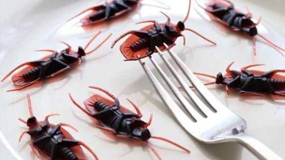 European crickets are offered as a light entrée by the Berlin museum — with far worse to follow. Picture: Instagram