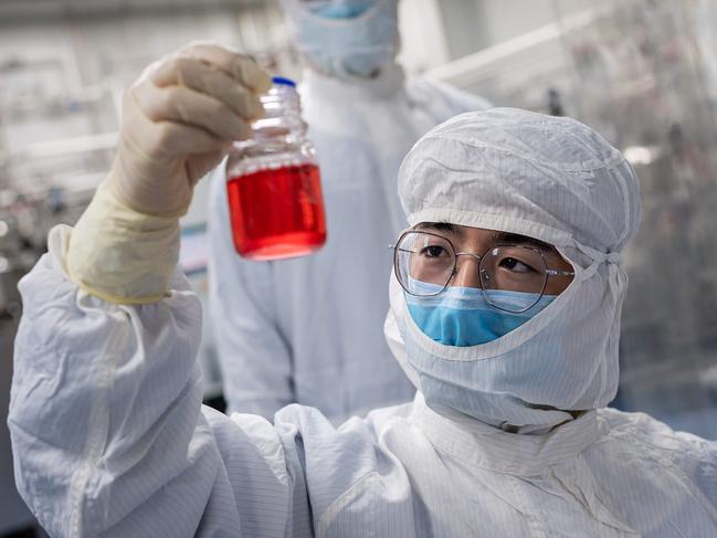 TOPSHOT - In this picture taken on April 29, 2020, an engineer looks at monkey kidney cells as he make a test on an experimental vaccine for the COVID-19 coronavirus inside the Cells Culture Room laboratory at the Sinovac Biotech facilities in Beijing. - Sinovac Biotech, which is conducting one of the four clinical trials that have been authorised in China, has claimed great progress in its research and promising results among monkeys. (Photo by NICOLAS ASFOURI / AFP) / TO GO WITH Health-virus-China-vaccine,FOCUS by Patrick Baert