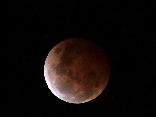 Watching the Blood Moon rise over Sydney Harbour. Picture: Adam Ward