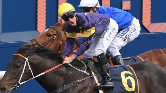 Brutal is among Tommy Berry’s key chances at Randwick. Picture: AAP