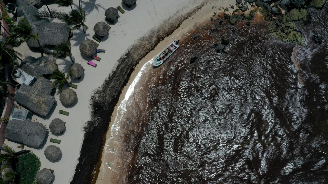 Waters near a Tulum resort are brown from sargassum, a seaweed-like algae, ruining the once pristine beaches. Picture: Justin Sullivan/Getty Images.