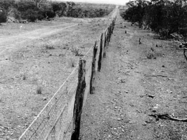 A section of the rabbit-proof fence near where the murders occurred, taken about 1930. Picture: National Library of Australia