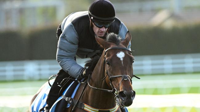 MELBOURNE, AUSTRALIA - OCTOBER 08: Mark Zahra riding Post Impressionist during a trackwork session at Caulfield Racecourse on October 08, 2024 in Melbourne, Australia. (Photo by Vince Caligiuri/Getty Images)