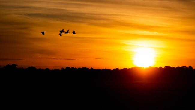 Kakadu National Park, Northern Territory. Picture: Che Chorley