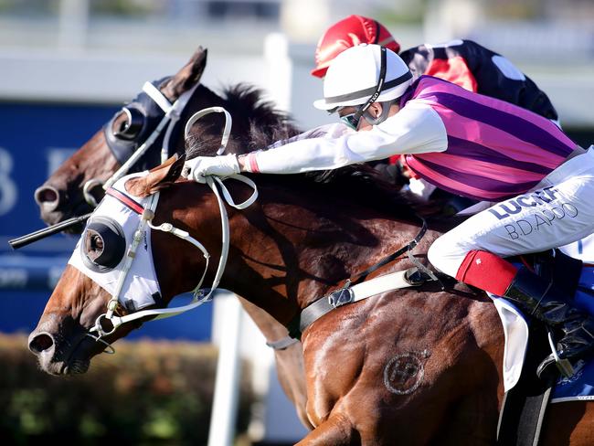 Doomben race day 8/3/14. Race 8 winner More Than Money(RHS) ridden by Beau Appo beats Cleaver ridden by Jason Taylor. Photo by Chris McCormack.