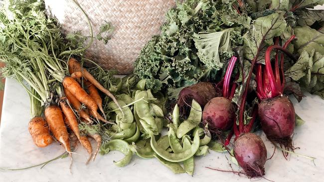 Produce at Springfield farm. Picture: Supplied