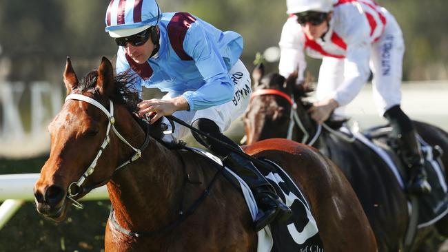 Tickler scores an smart win on debut at Warwick Farm for Hugh Bowman. Photo: Brendon Thorne/AAP Image