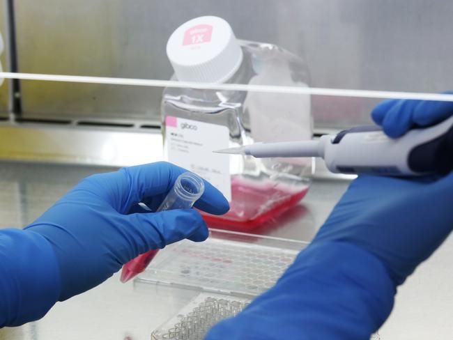 Generic image inside a lab at the CSIRO's high-containment facility in Geelong, Friday, January 31, 2020. CSIRO, Australia's national science agency, has commenced key research in the rapid global response to the novel coronavirus outbreak. (AAP Image/David Crosling) NO ARCHIVING