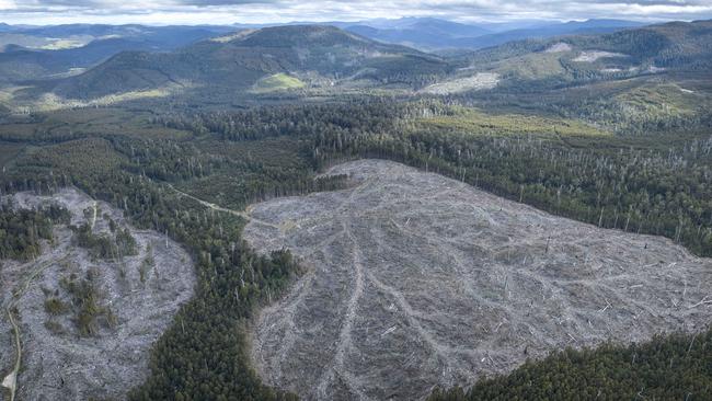 Logging in the Huon Valley.