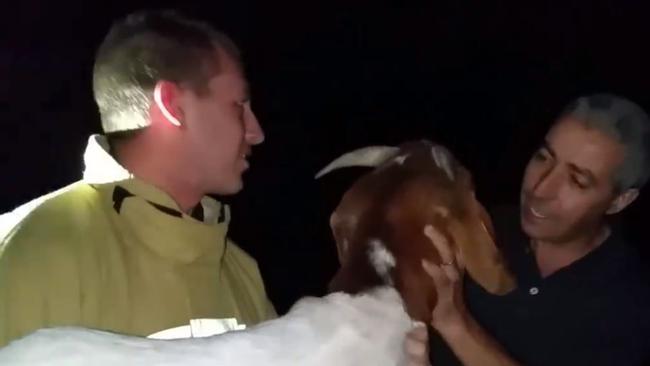 A beautiful reunion. Picture: Fire &amp; Rescue NSW