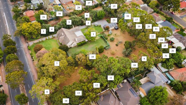 Regulated and significant trees located on a Le Cornu family property at 28 Sturt Rd, Brighton.