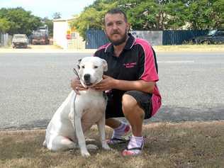 GOOD GIRL: Samara alerted Michael Jackson as thieves ransacked the recycling centre on his street. Picture: Jann Houley