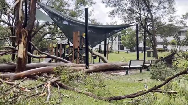 Trees down in Carina Heights after the storms. Picture Higgins Storm Chasers/Peter