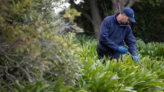 A specialist search team was sweeping bushes near the property. Picture: NZ Herald/George Heard