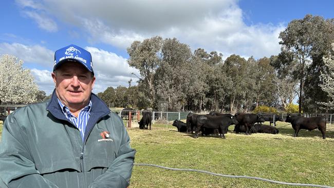 David Brewer of Brewer Beef, Tallangatta Valley was looking to secure bulls at the Rennylea on-property sale at Culcairn. Picture: Nikki Reynolds