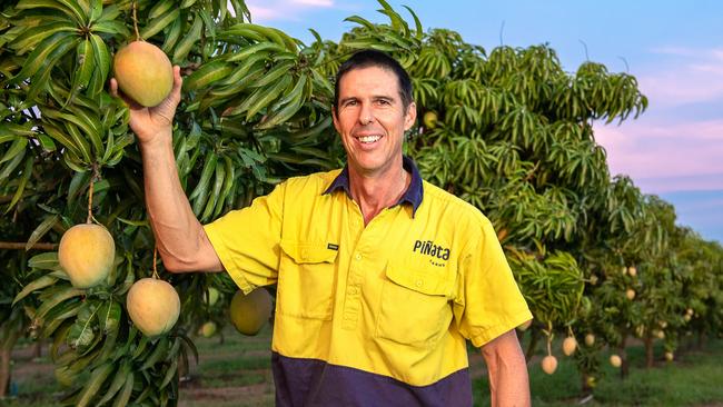 Pinata Farms' Stephen Scurr with his mangoes.