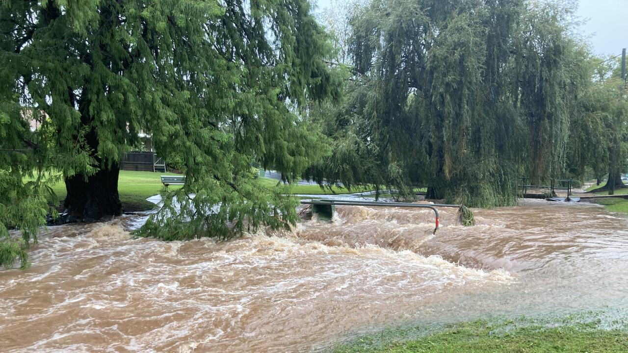 A large volume of water was flowing through East Creek at 1pm, February 25, 2022.