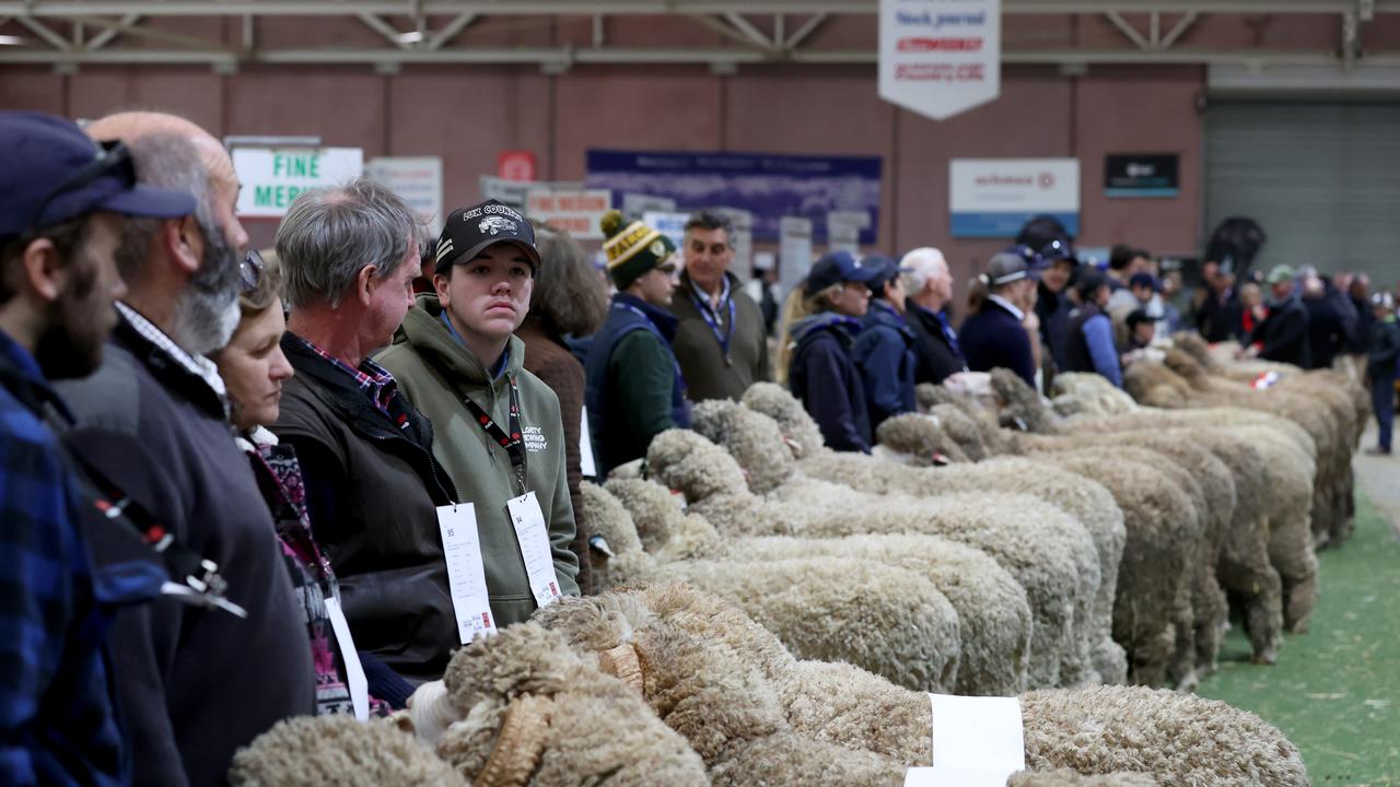 Australian sheep and wool show highlights The Weekly Times