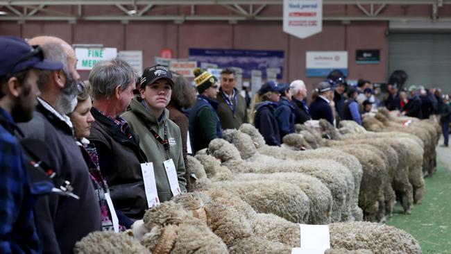 Bendigo Sheep and Wool Show 2024. Picture: Zoe Phillips