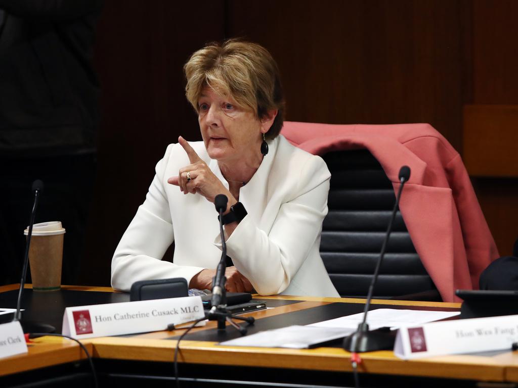 Catherine Cusack has announced her intention to resign from state parliament. Picture: Richard Dobson