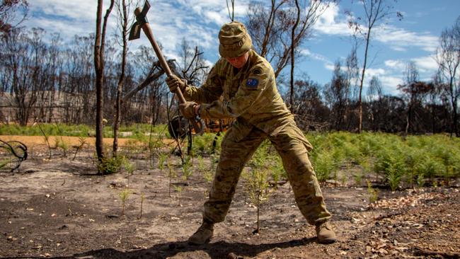 Lance Bombardier Carina Mangini removes a broken star picket from a fire-damaged campsite in the Flinders Chase National Park. Picture: ADF