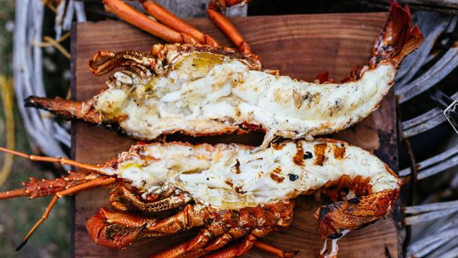 Local lobsters which are actually hard to come by on Flinders Island.