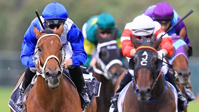 Telepathic, left, has a good fresh record. Picture: Jenny Evans