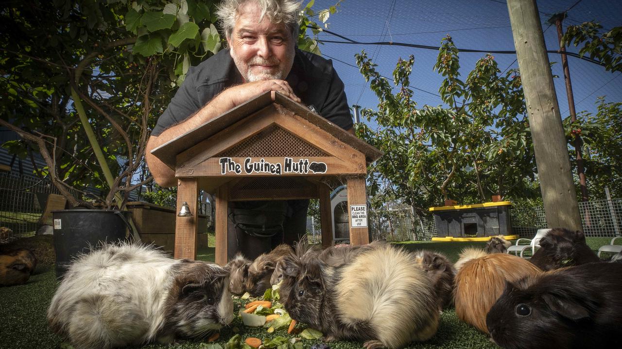 Steven Ransley with some of his 37 guinea pigs in the GuineaVale village he has built for them. Picture: Chris Kidd