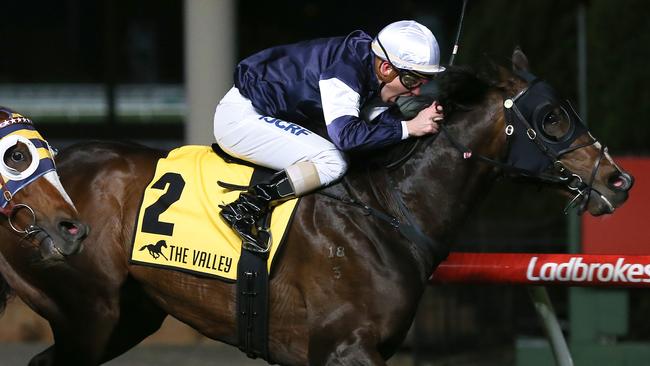 The Taj Mahal is in the Caulfield Cup up to his ears, according to jockey James McDonald. Picture: AAP