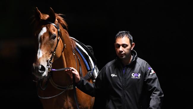 Finche heads into the Melbourne Cup fourth-up after an impressive fifth in the Caulfield Cup. Picture: AAP