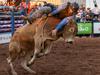 Mega Gallery: 175+ photos from the Noonamah Tavern Rodeo