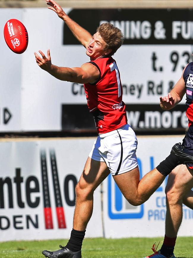 Ex-Frankston Dolphin Brayden Irving is back at Seaford.