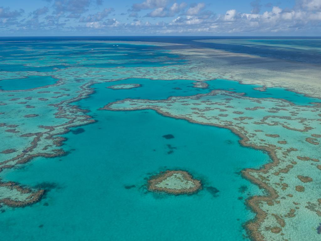 Hook Reef, part of the Great Barrier Reef Marine Park.