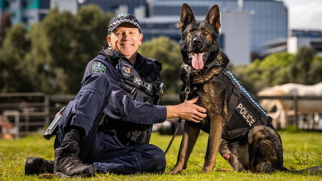 Dog handler, Sargeant Simon Rosenhahn with Police dog Bomber, on September 30th, 2022, at the Thebarton Police Barracks. Picture: Tom Huntley